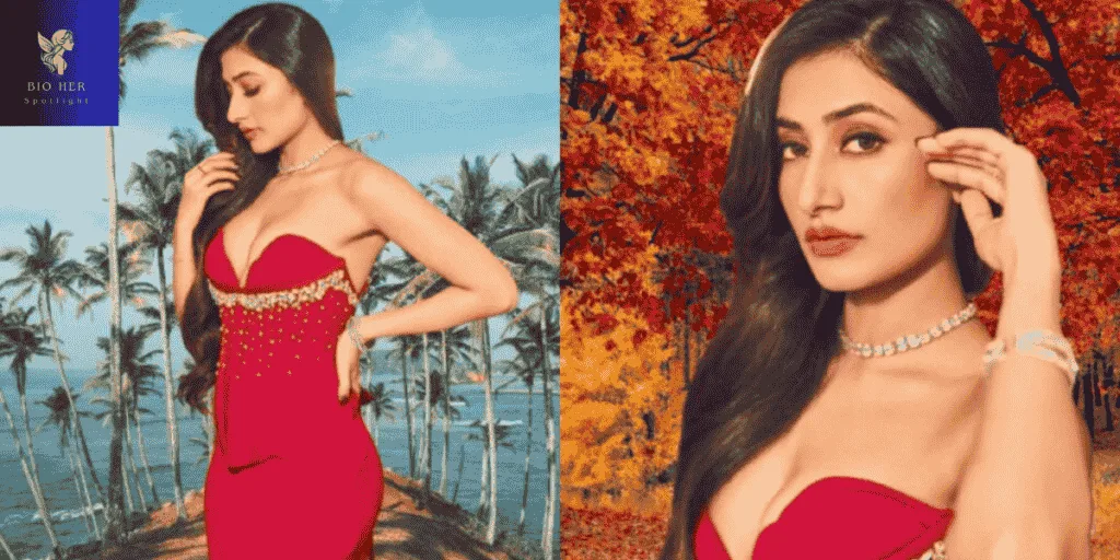 How Rich is Dhanashree Verma