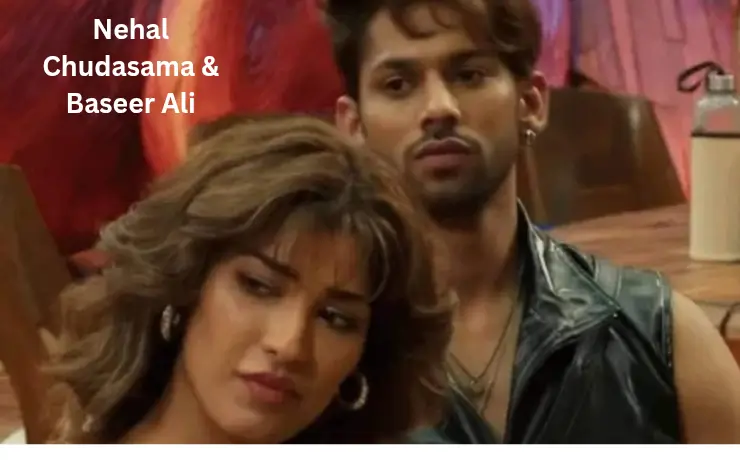 नेहल चुडासमा की बायोग्राफी: उम्र, शिक्षा, फैमिली, करियर, जाति, धर्म, नेट वर्थ | Nehal Chudasama Biography in Hindi 3 Nehal Chudasama & Baseer Ali