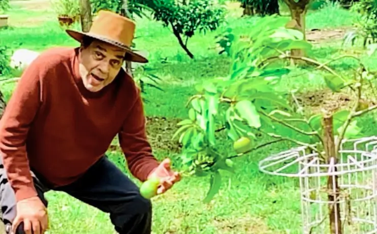 Dharmendra Biography in Hindi | धर्मेंद्र की आयु, परिवार, करियर, कुल सम्पत्ति, वैवाहिक जीवन 8 धर्मेद्र लोनावाला के फार्महाउस में