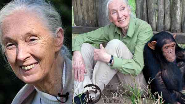 Dame Jane Goodall Institute बेल्ज़ियम 